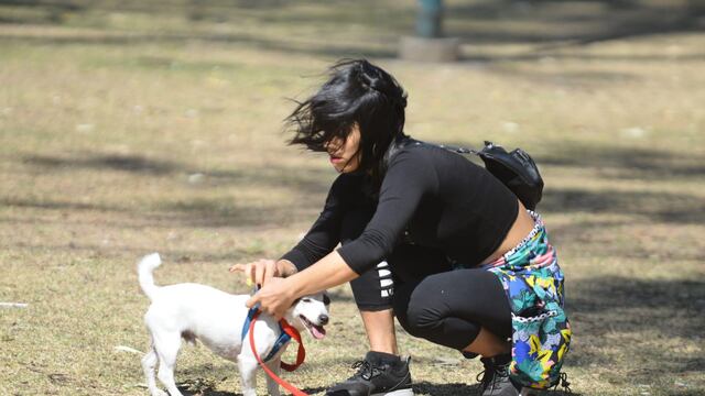 Abril se despide con sol y viento en Córdoba. (José Gabriel Hernández).