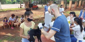 Operativo sanitario animal en Eldorado.