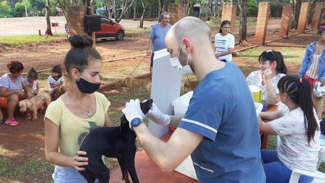 Operativo sanitario animal en Eldorado.