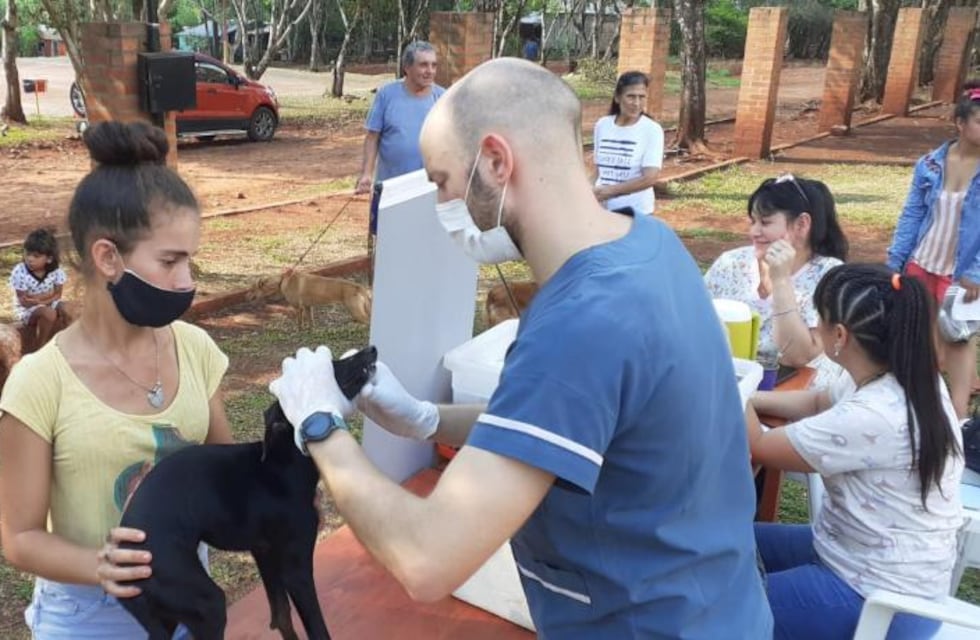 Operativo sanitario animal en Eldorado