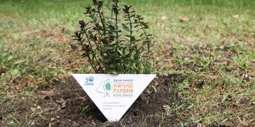 La comunidad docente y no docente participó de la plantación de árboles en el predio del rectorado.