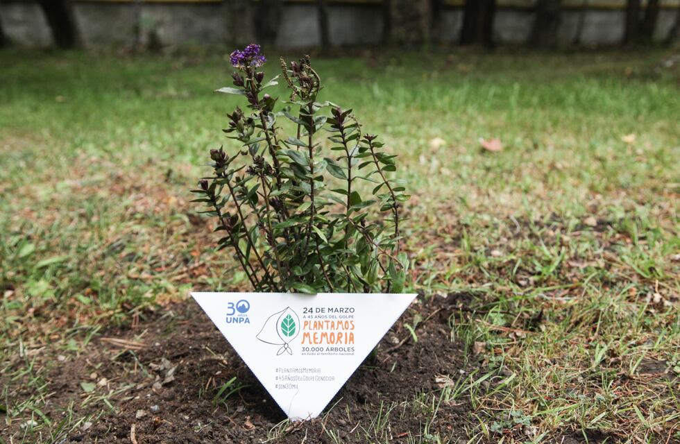 La Universidad Nacional de la Patagonia Austral adhirió a la campaña de Derechos Humanos y plantó arbustos