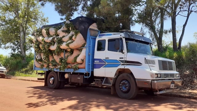 Colonia Victoria: secuestran un camión que transportaba 109 raídos de hoja verde de yerba mate