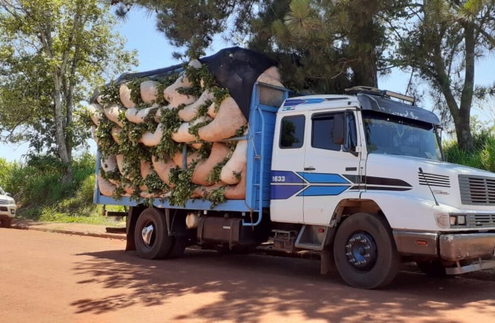Colonia Victoria: secuestran un camión que transportaba 109 raídos de hoja verde de yerba mate