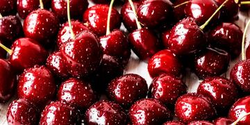 Temporada de cerezas.