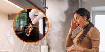 Cuál es el electrodoméstico que más cucarachas atrae y está en todas las cocinas