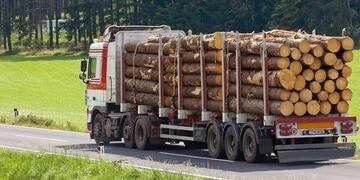Recolección de madera para llevar a las industrias