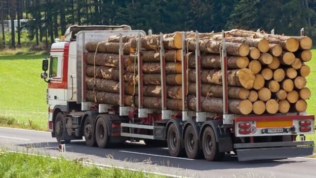 Recolección de madera para llevar a las industrias