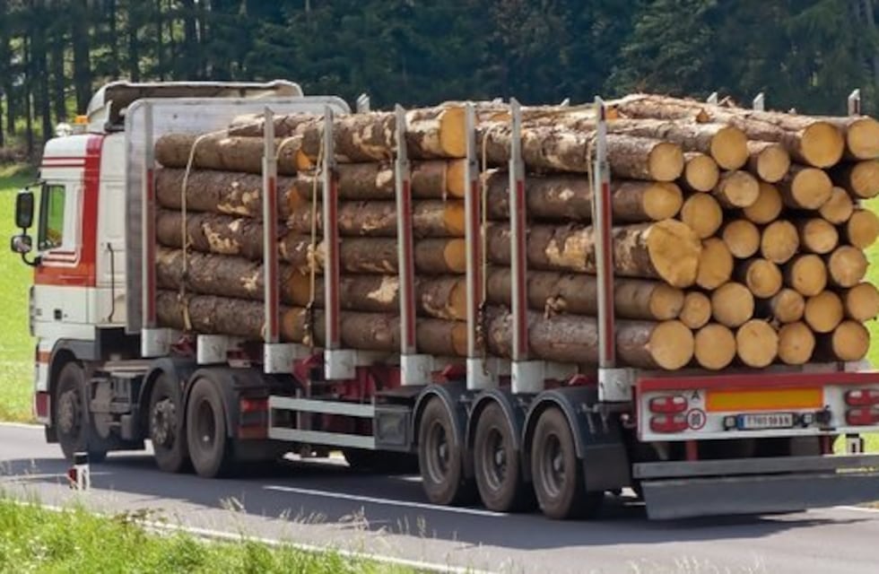 Industralización de la Madera