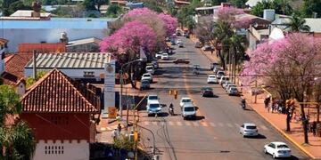 Realizarán un censo del arbolado urbano de Eldorado