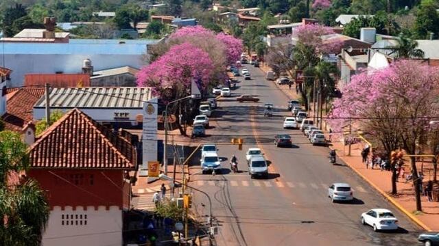 Realizarán un censo del arbolado urbano de Eldorado