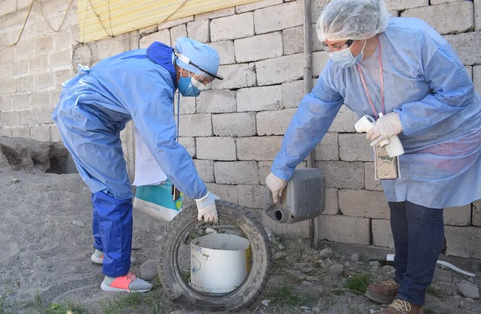 Dengue en Jujuy: “Aún no llegó el serotipo 3, pero hay que estar preparados”
