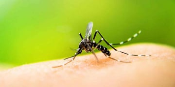 Vacunación en Carlos Paz