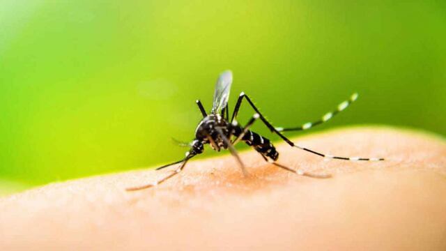 Vacunación en Carlos Paz