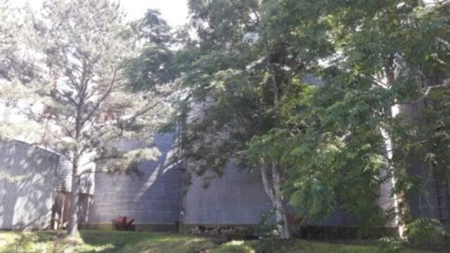 Bernardo de Irigoyen: allanan silos del IFAI.