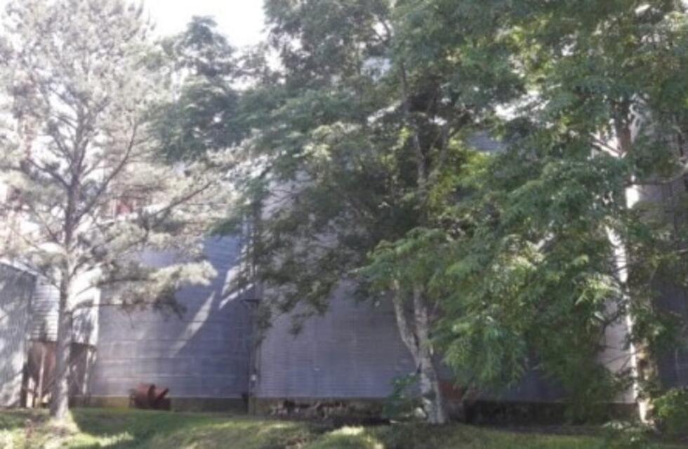 Bernardo de Irigoyen: allanan silos del IFAI