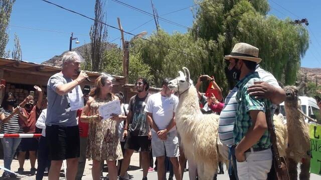 Marley y Lizy fueron recibidos en Tilcara (Jujuy), como primeros visitantes de la temporada de verano.