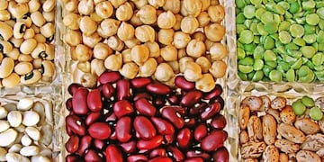 Semillas de leguminosas