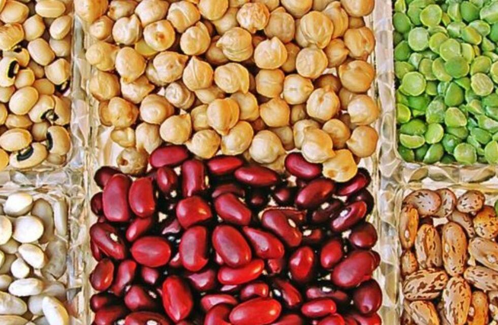 Inoculación en Leguminosas