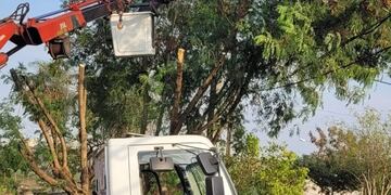 Energía de Misiones realizó trabajos de poda en varios puntos de Posadas.
