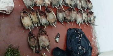 Los apresaron en la ruta 150, en la Villa 25 de Mayo, a unos 5 kilómetros de la línea de alta tensión Comahue Cuyo.