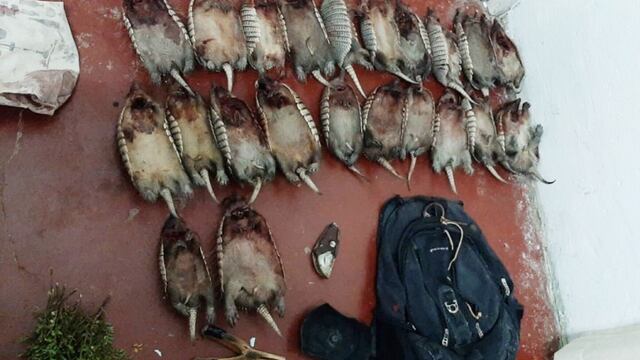 Los apresaron en la ruta 150, en la Villa 25 de Mayo, a unos 5 kilómetros de la línea de alta tensión Comahue Cuyo.