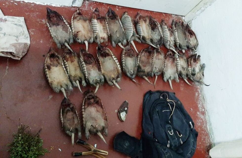 Por tercera vez en una semana, detuvieron a cazadores de piches