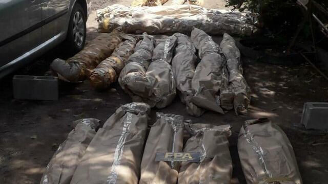 Tenía una plantación de marihuana en su casa