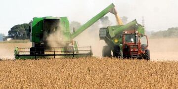 Valor histórico de la soja