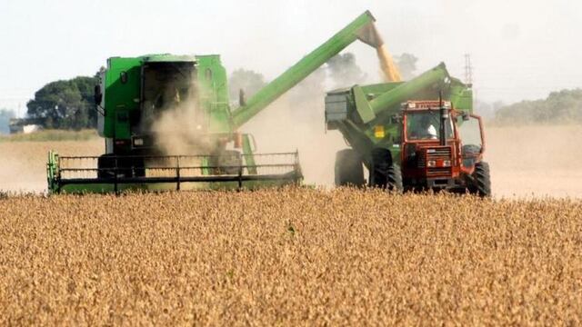 Valor histórico de la soja