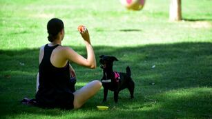Calor en ascenso a lo largo de la semana en Córdoba.