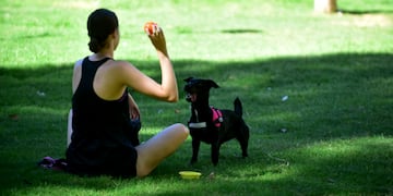Cómo estará el tiempo este lunes en Córdoba.