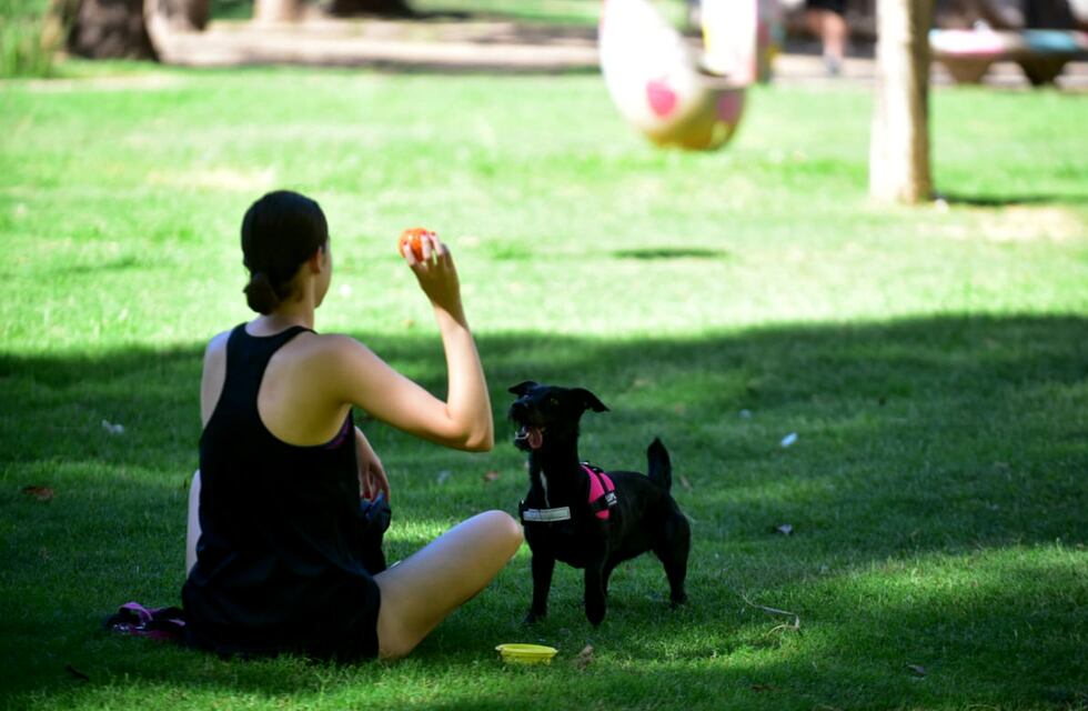 El clima en Córdoba: cómo continuará el tiempo este lunes 17 de febrero