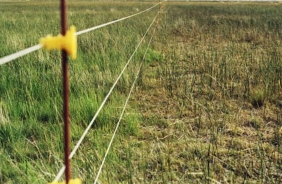 Un joven falleció electrocutado en Garuhapé cuando cambiaba un cerco eléctrico