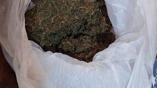 La marihuana secuestrada