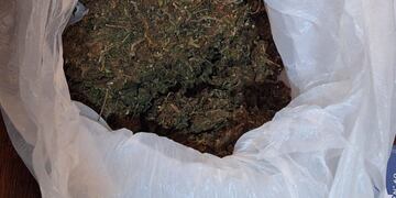 La marihuana secuestrada