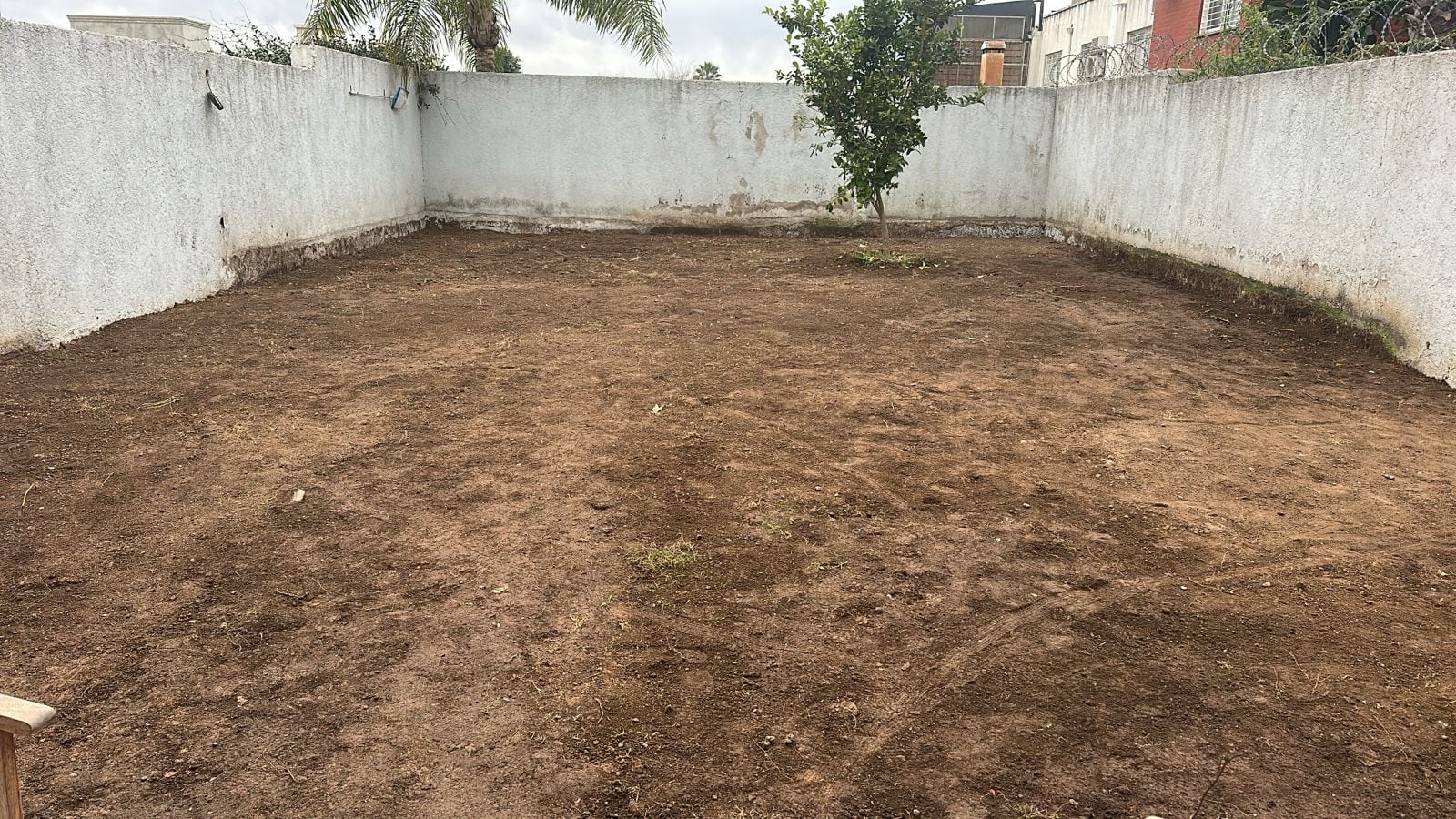 El patio de la casa, después de haber tenido pileta, fogonero y mejoras, volvió al mismo punto original del contrato.