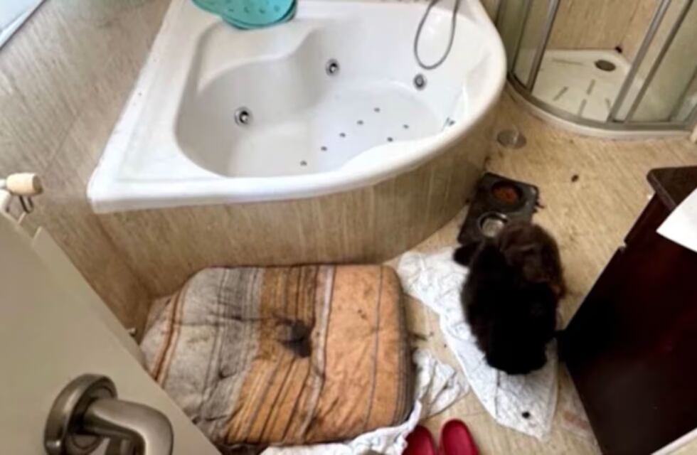 Rescataron a tres niños encerrados desde la pandemia: así estaban ellos y la casa