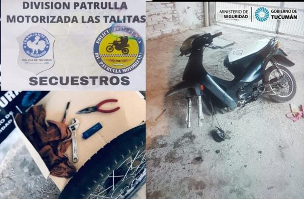 Un hombre robó en dos casas y quedó aprehendido