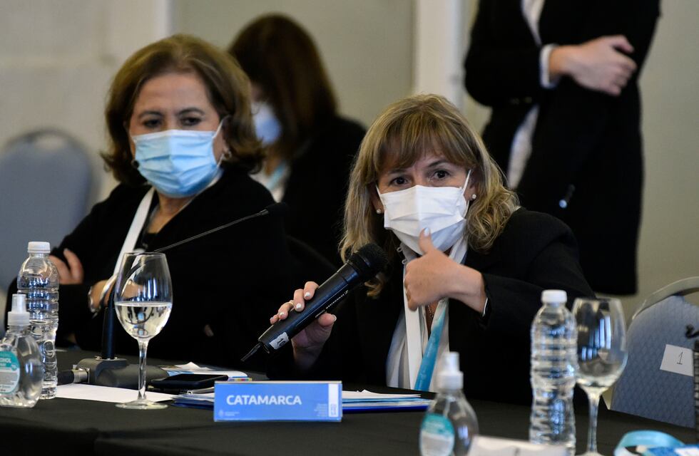 La ministra Claudia Palladino participó en una nueva reunión de COFESA