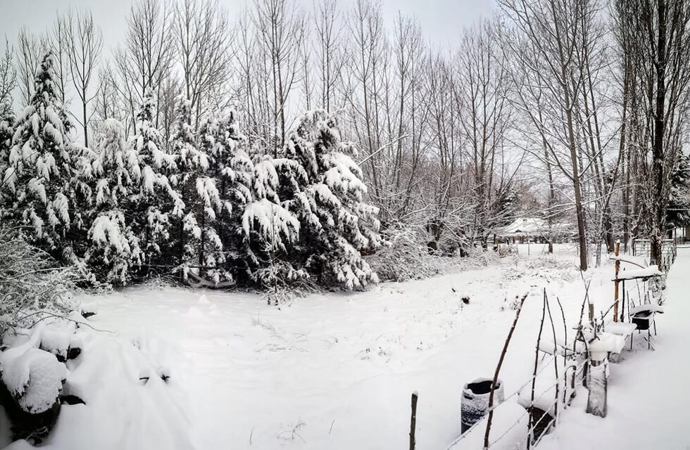 Fotos y videos: Potrerillos y Cacheuta amanecieron cubiertos de nieve y podría nevar en el llano