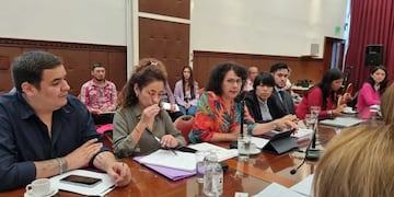 La presidente del Concejo Provincial de Mujeres, Igualdad de Género y respeto a las Diversidades, Lourdes Navarro (al centro), informó a los legisladores sobre los avances en la implementación de las leyes "Iara" y "Micaela".