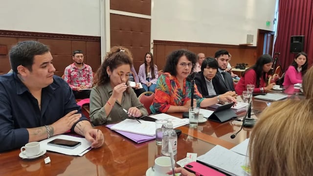 La presidente del Concejo Provincial de Mujeres, Igualdad de Género y respeto a las Diversidades, Lourdes Navarro (al centro), informó a los legisladores sobre los avances en la implementación de las leyes "Iara" y "Micaela".