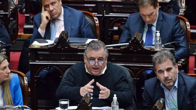 El jefe del bloque de diputados radicales, Mario Negri (Foto: Prensa Juntos por el Cambio)
