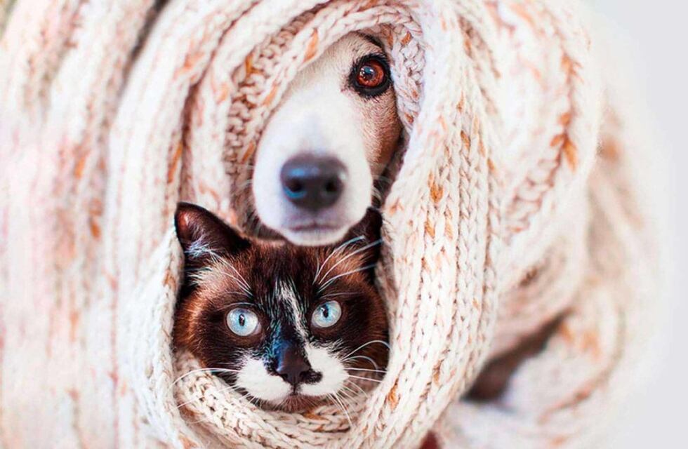 El Móvil Quirúrgico estará en el Barrio Villa Italia de Tres Arroyos