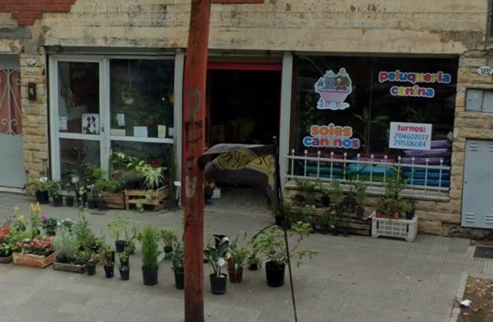 Un delincuente agarró de los pelos a una empleada y le robó