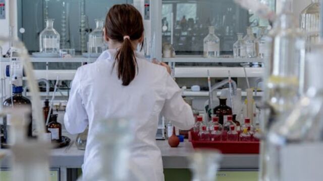 La Universidad Nacional de San Luis ofrece becas de investigación por un total de $2,5 millones. Gentileza NDSL