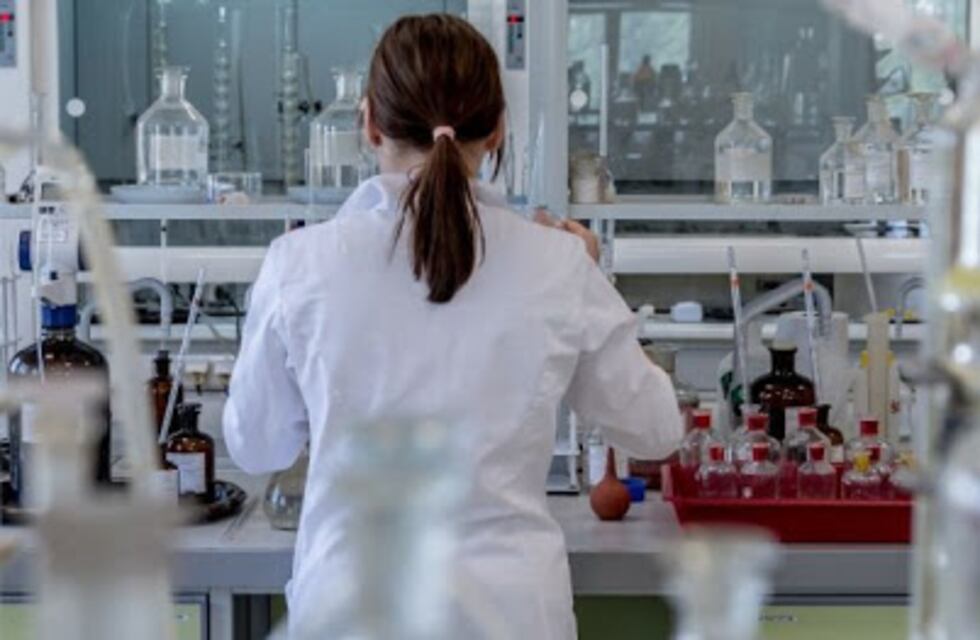 La UNSL ofrece becas de investigación por $2.5 millones