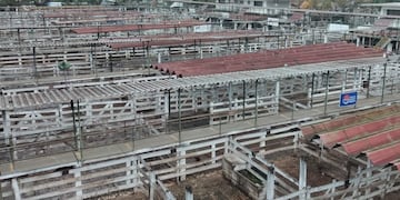El Mercado de Liniers amaneció completamente vacío por el cese de comercialización de hacienda decidido por la Mesa de Enlace. (Gentileza CRA)