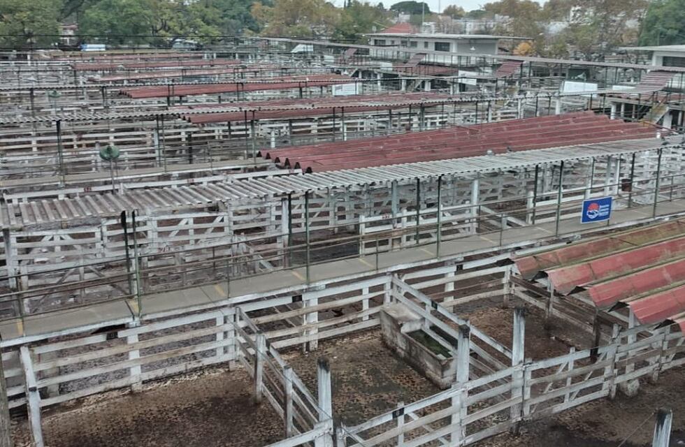 Paro del Campo: la Mesa de Enlace resolvió extender la medida hasta el próximo miércoles